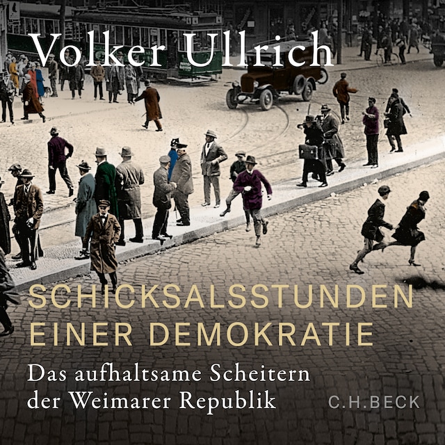 Buchcover für Schicksalsstunden einer Demokratie