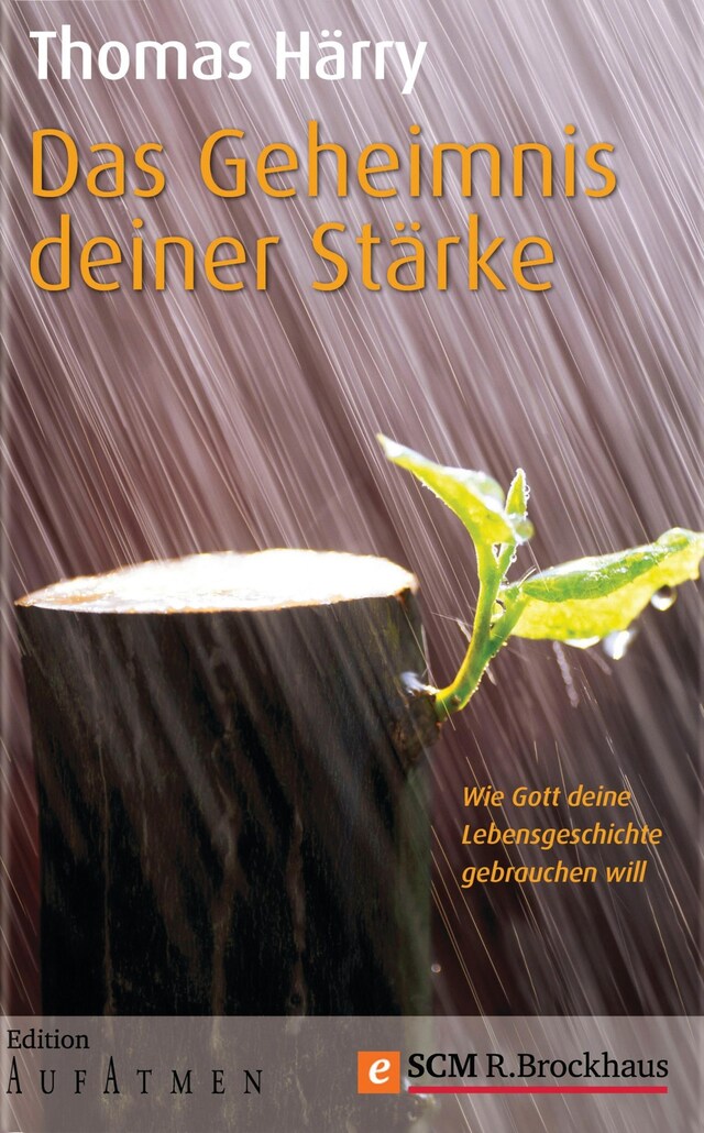 Book cover for Das Geheimnis deiner Stärke