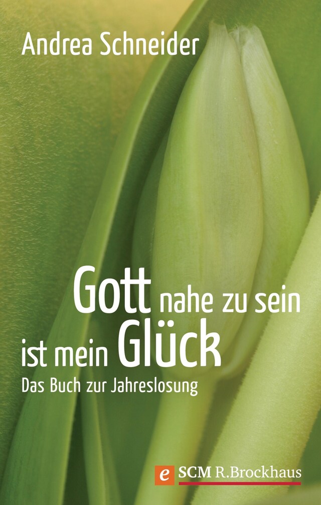 Book cover for Gott nahe zu sein ist mein Glück