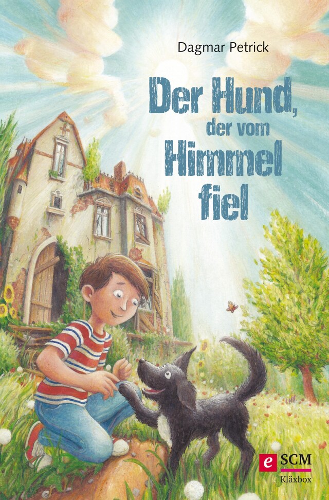 Couverture de livre pour Der Hund, der vom Himmel fiel