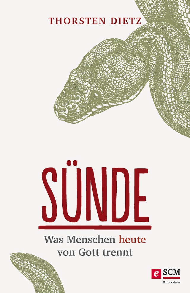 Book cover for Sünde