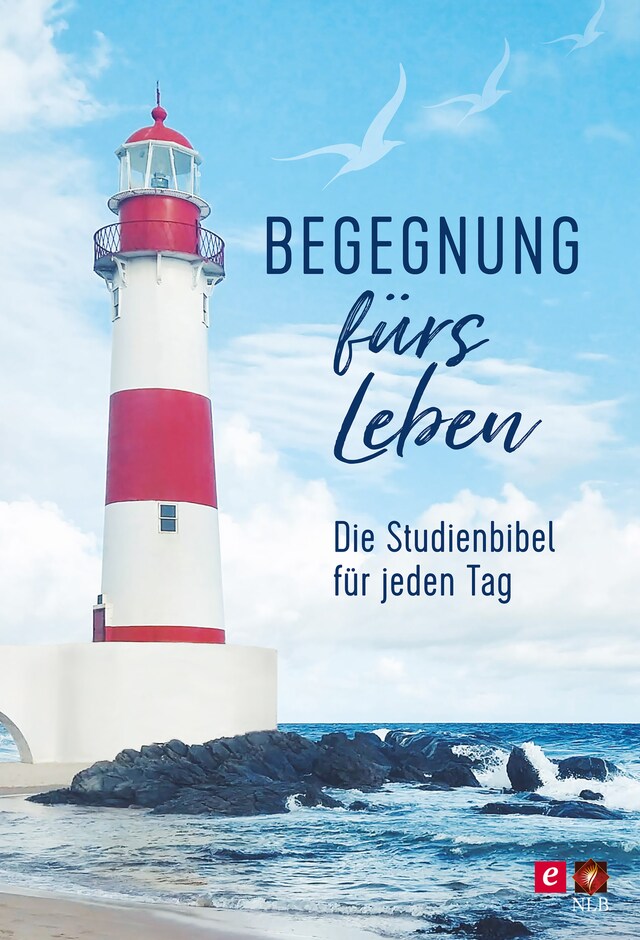 Buchcover für Begegnung fürs Leben