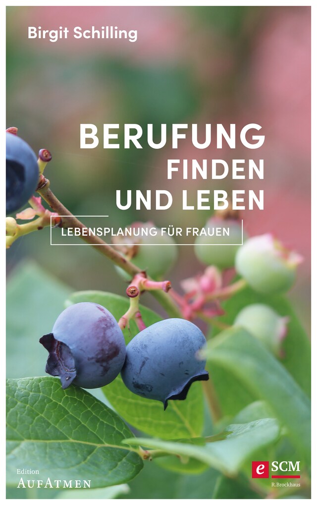 Book cover for Berufung finden und leben