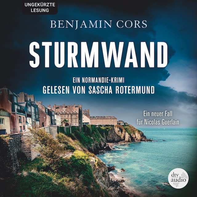 Book cover for Sturmwand