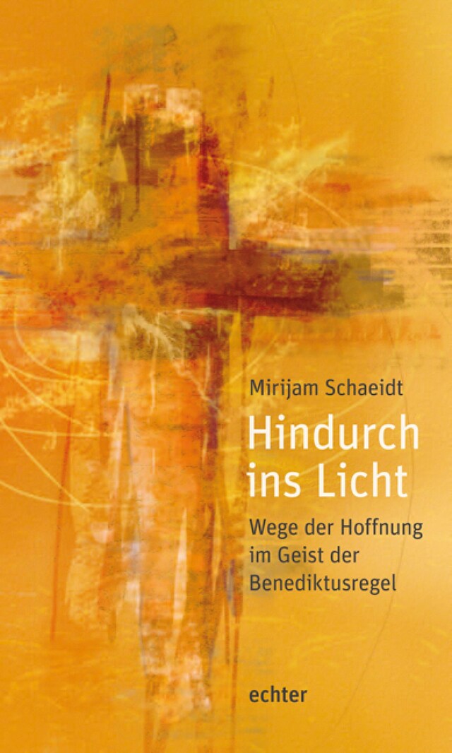 Book cover for Hindurch ins Licht