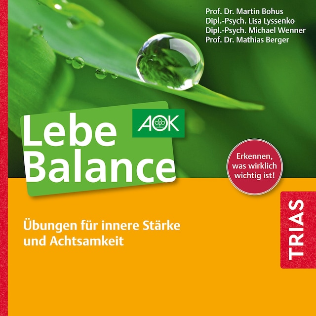 Book cover for Lebe Balance Audio-CD