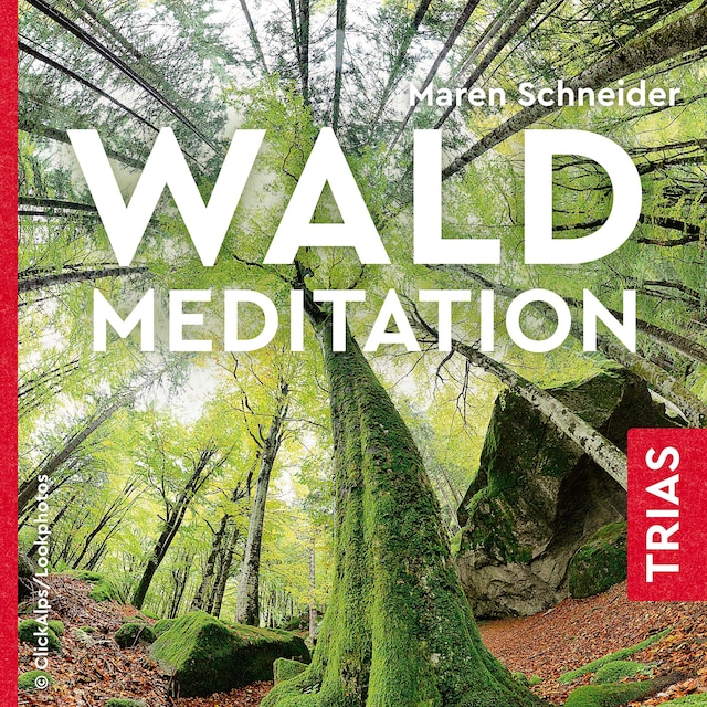 Buchcover für Waldmeditation