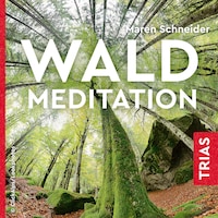 Waldmeditation
