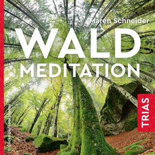 Waldmeditation als Hörbuch