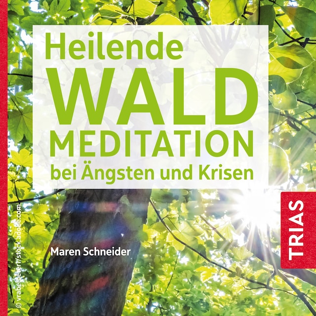 Book cover for Heilende Waldmeditation bei Ängsten und Krisen