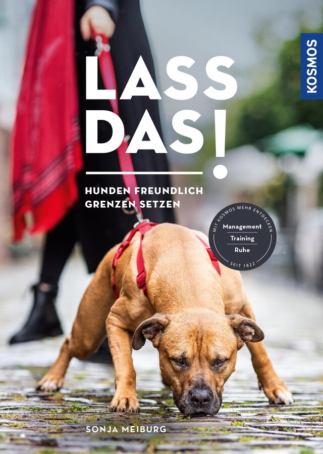 Buchcover für Lass das!