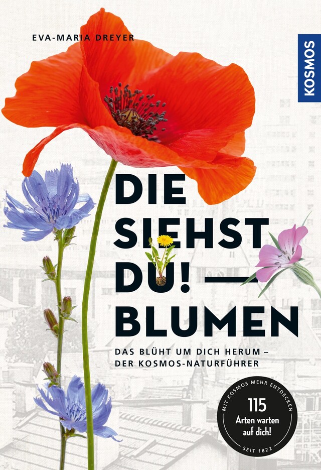 Copertina del libro per Die siehst du - Blumen