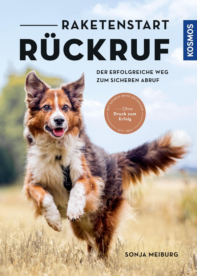 Buchcover für Raketenstart-Rückruf