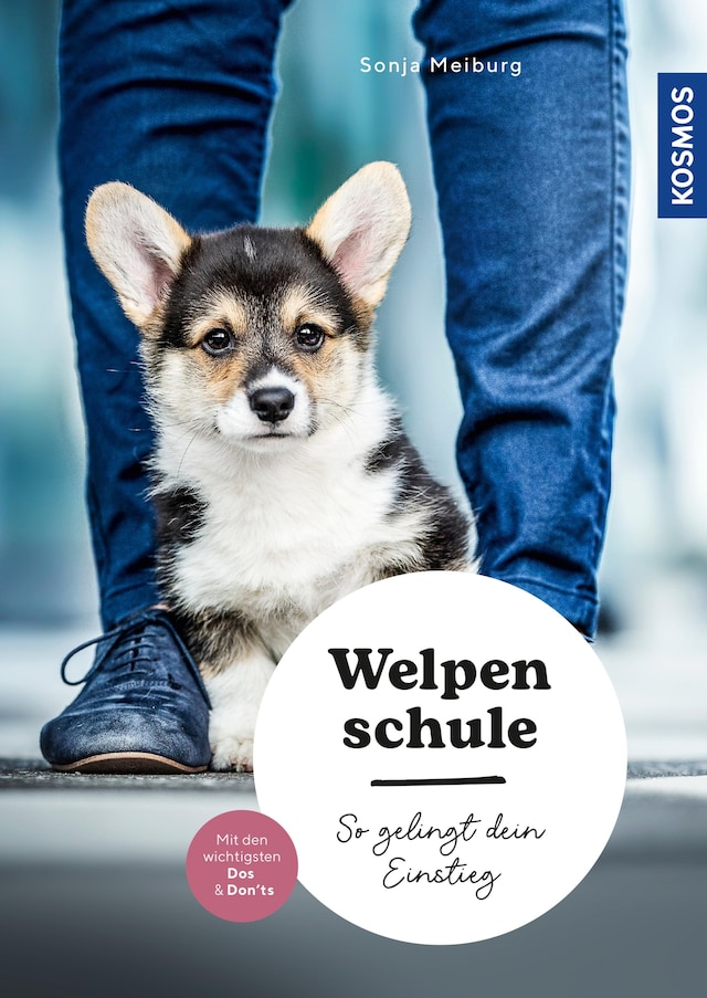 Book cover for Welpenschule