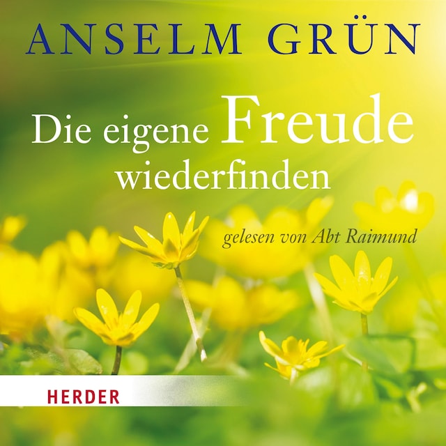 Book cover for Die eigene Freude wiederfinden