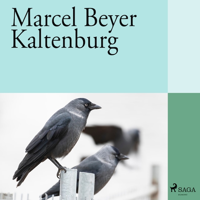 Boekomslag van Kaltenburg