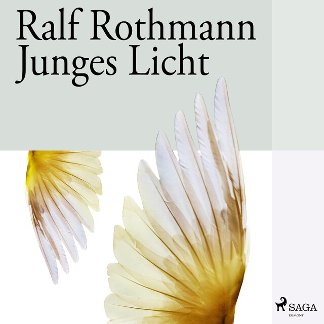 Book cover for Junges Licht