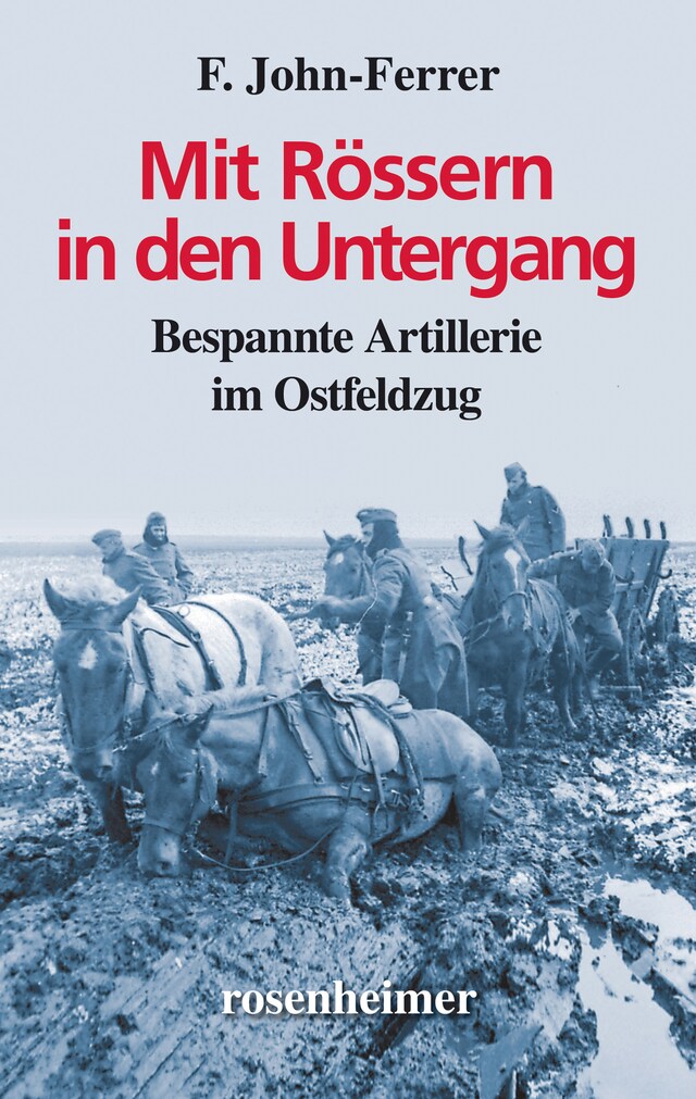 Couverture de livre pour Mit Rössern in den Untergang