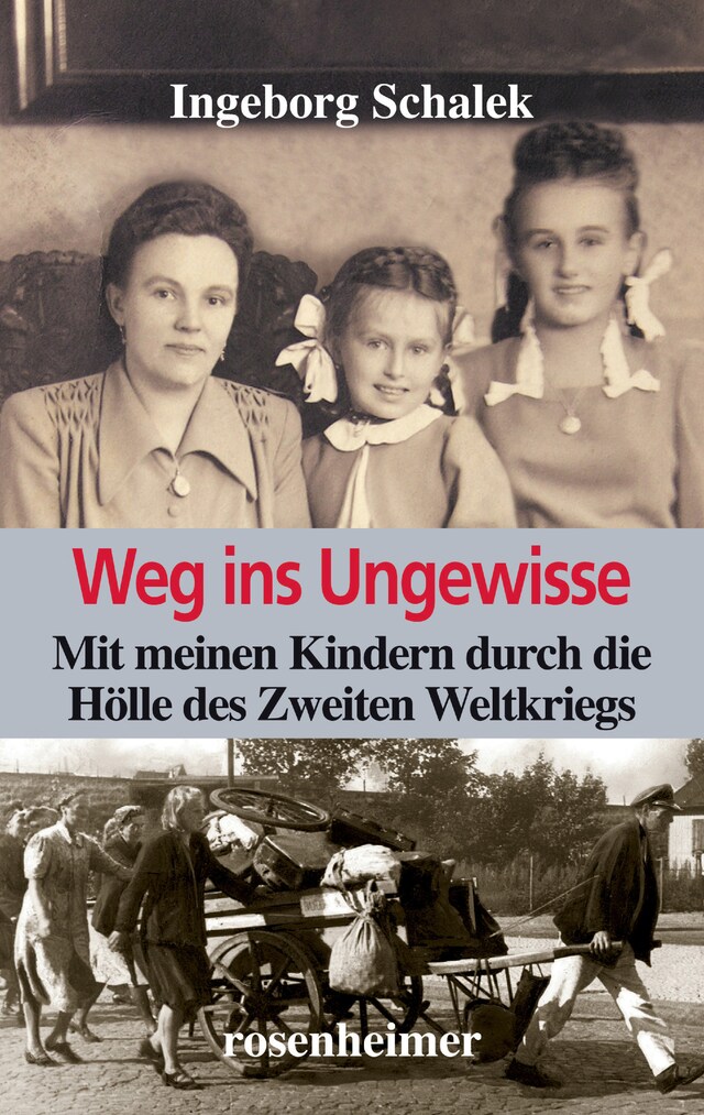 Couverture de livre pour Weg ins Ungewisse