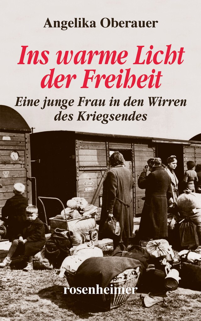 Portada de libro para Ins warme Licht der Freiheit