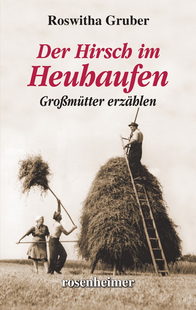 Book cover for Der Hirsch im Heuhaufen