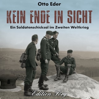 Kein Ende in Sicht als Hörbuch