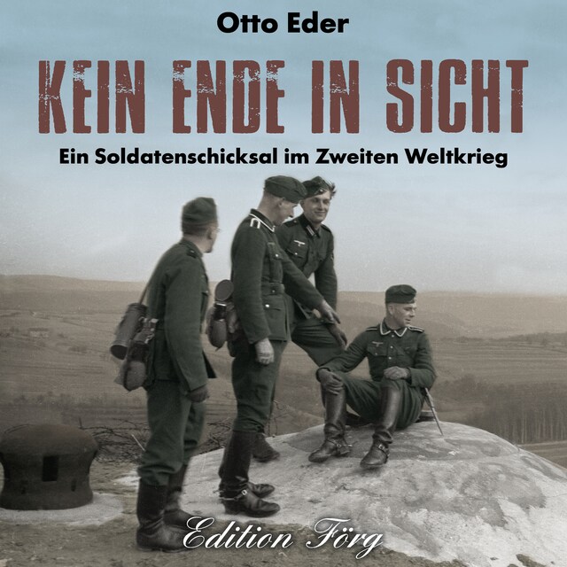 Book cover for Kein Ende in Sicht