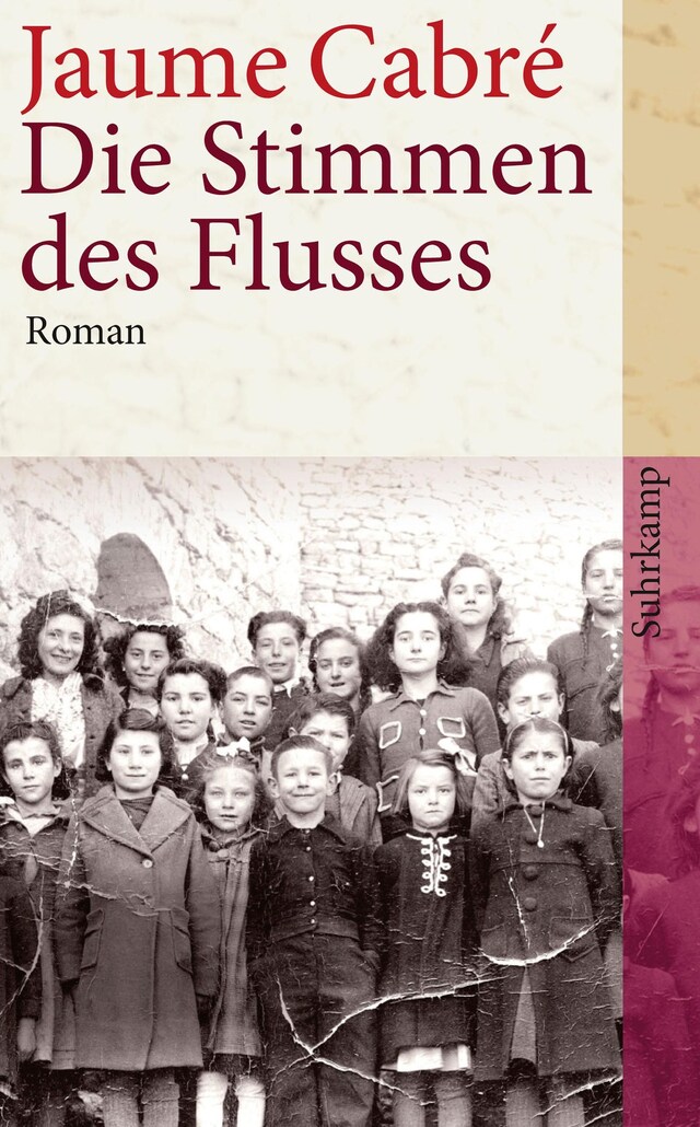 Book cover for Die Stimmen des Flusses