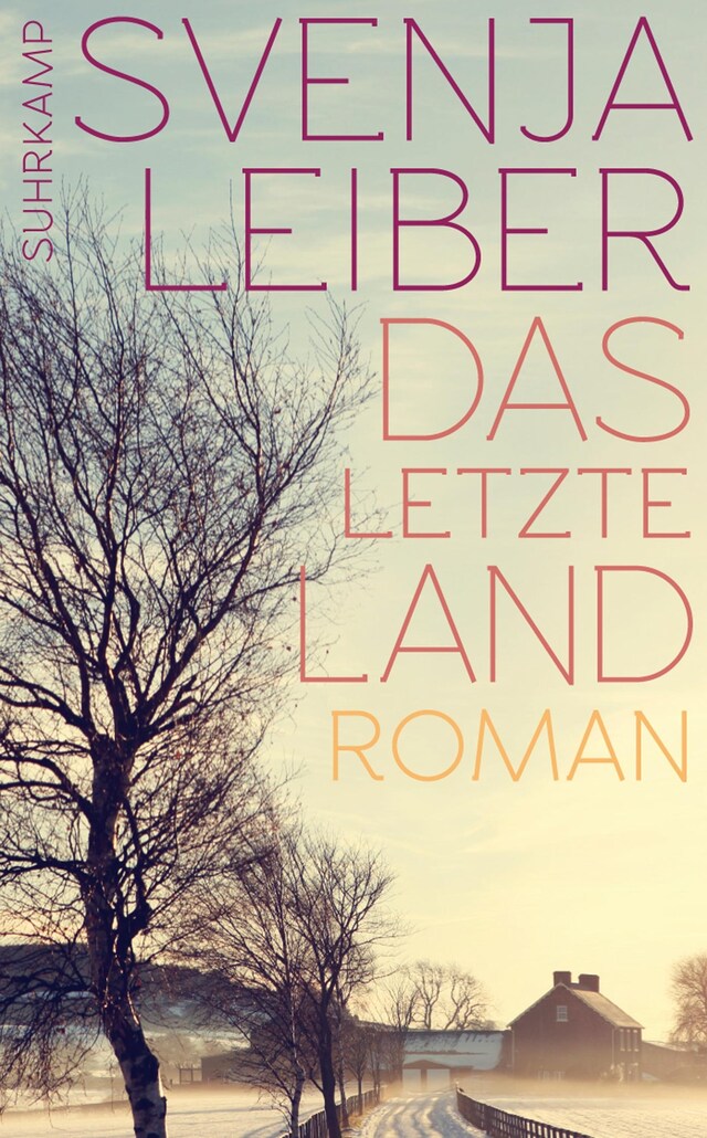 Buchcover für Das letzte Land