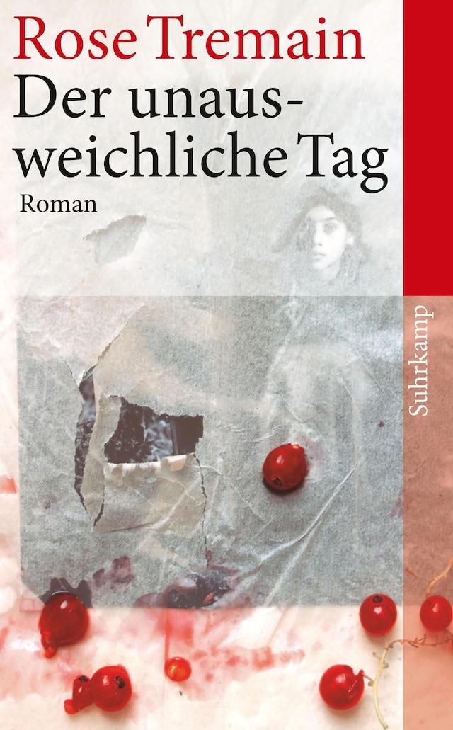Copertina del libro per Der unausweichliche Tag