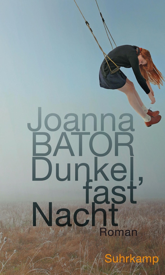 Book cover for Dunkel, fast Nacht