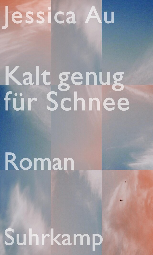 Book cover for Kalt genug für Schnee