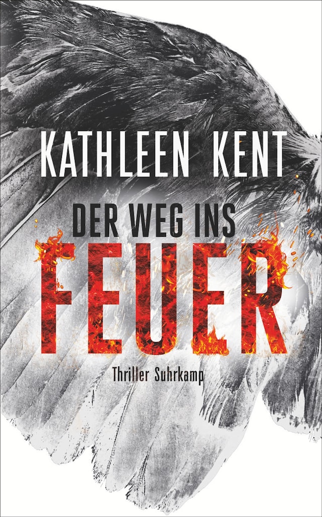 Buchcover für Der Weg ins Feuer