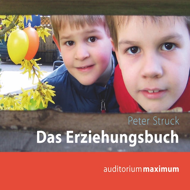 Book cover for Das Erziehungsbuch