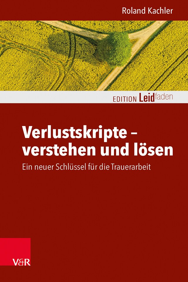 Buchcover für Verlustskripte – verstehen und lösen