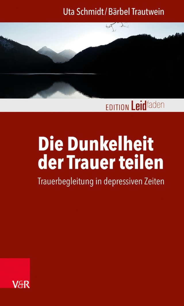 Book cover for Die Dunkelheit der Trauer teilen