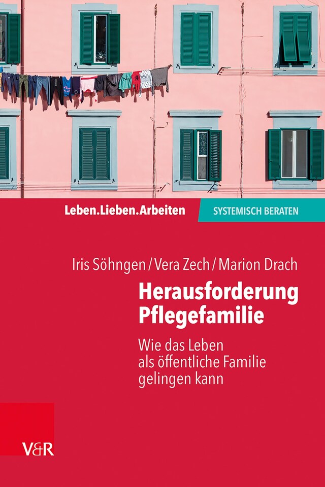 Buchcover für Herausforderung Pflegefamilie