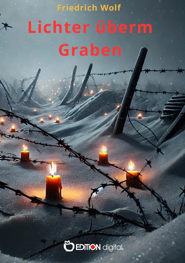 Bokomslag for Lichter überm Graben