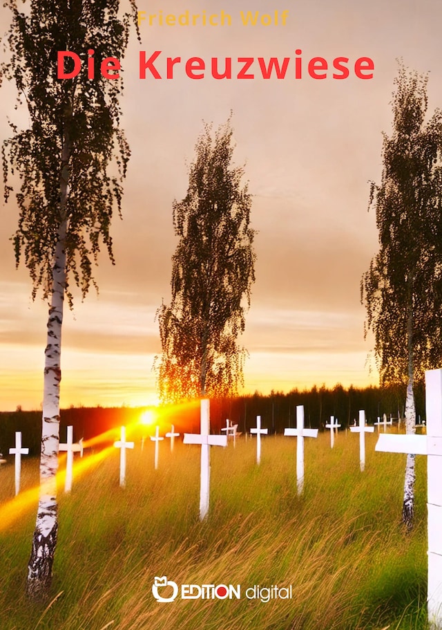 Boekomslag van Die Kreuzwiese