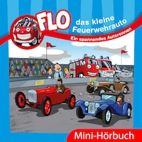 Ein spannendes Autorennen