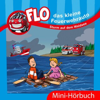 Sturm auf dem Waldsee als Hörbuch