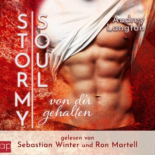 Stormy Soul als Hörbuch