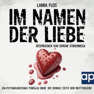 Im Namen der Liebe als Hörbuch