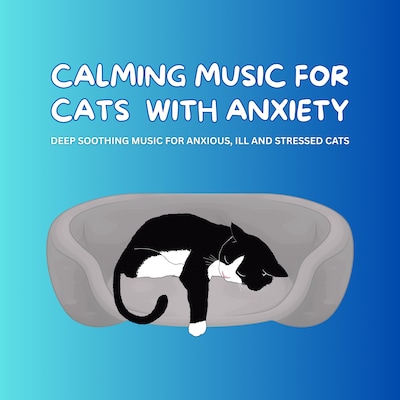 Calming Music for Cats with Anxiety - Pet Music Therapy