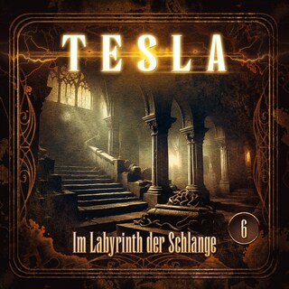 Tesla - Folge 6: Im Labyrinth der Schlange als Hörbuch