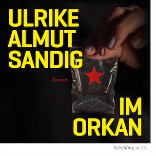 Im Orkan als Hörbuch