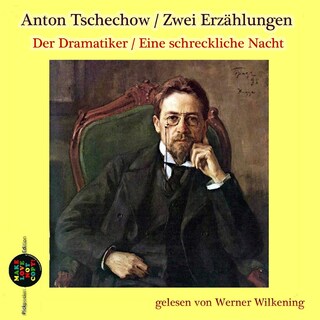 Der Dramatiker / Eine schreckliche Nacht als Hörbuch