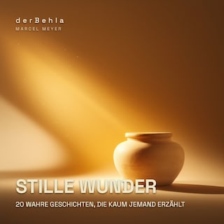 Stille Wunder — 20 wahre Geschichten, die kaum jemand erzählt als Hörbuch