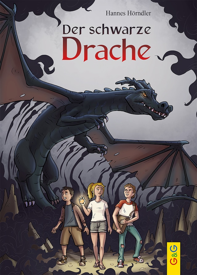 Book cover for Der schwarze Drache