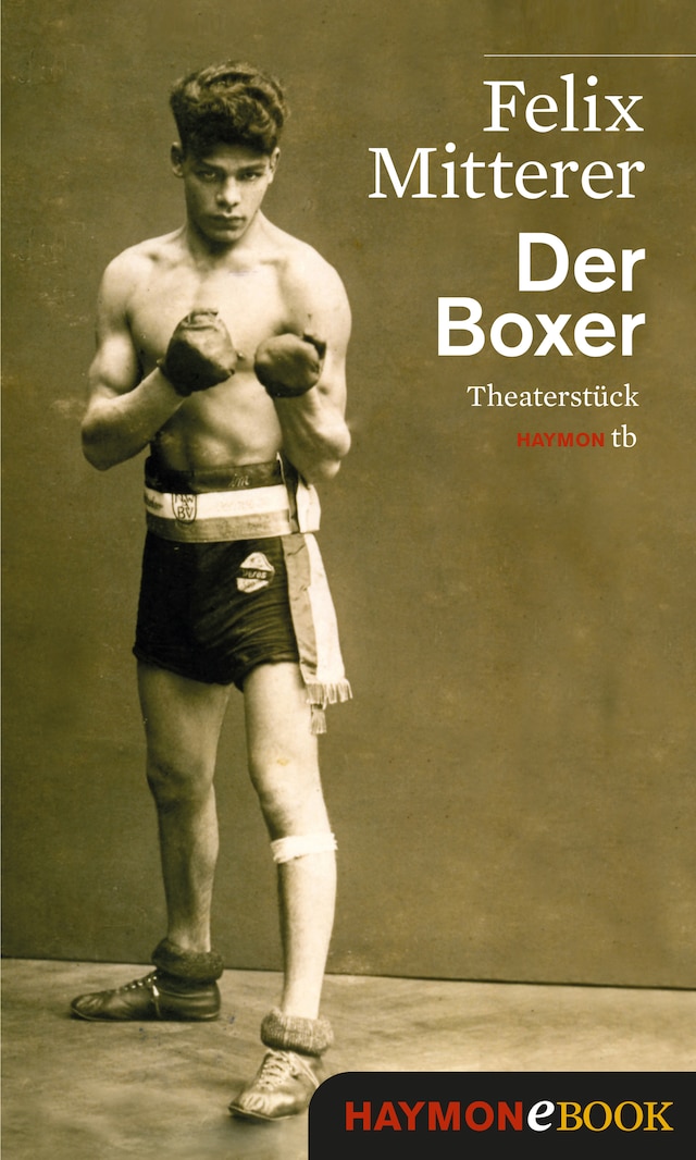 Book cover for Der Boxer